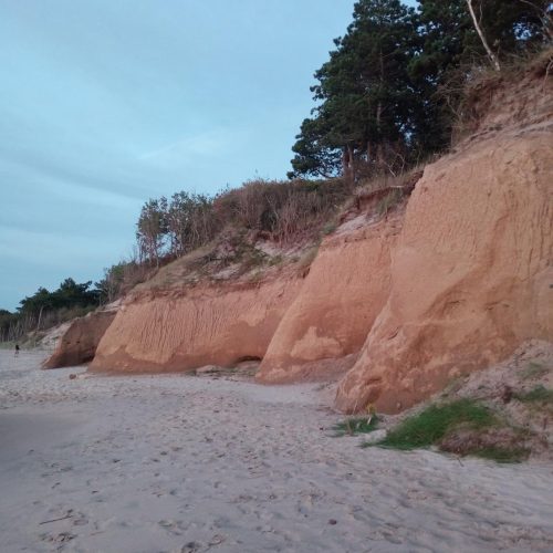 IMG-20250518-WA0006
